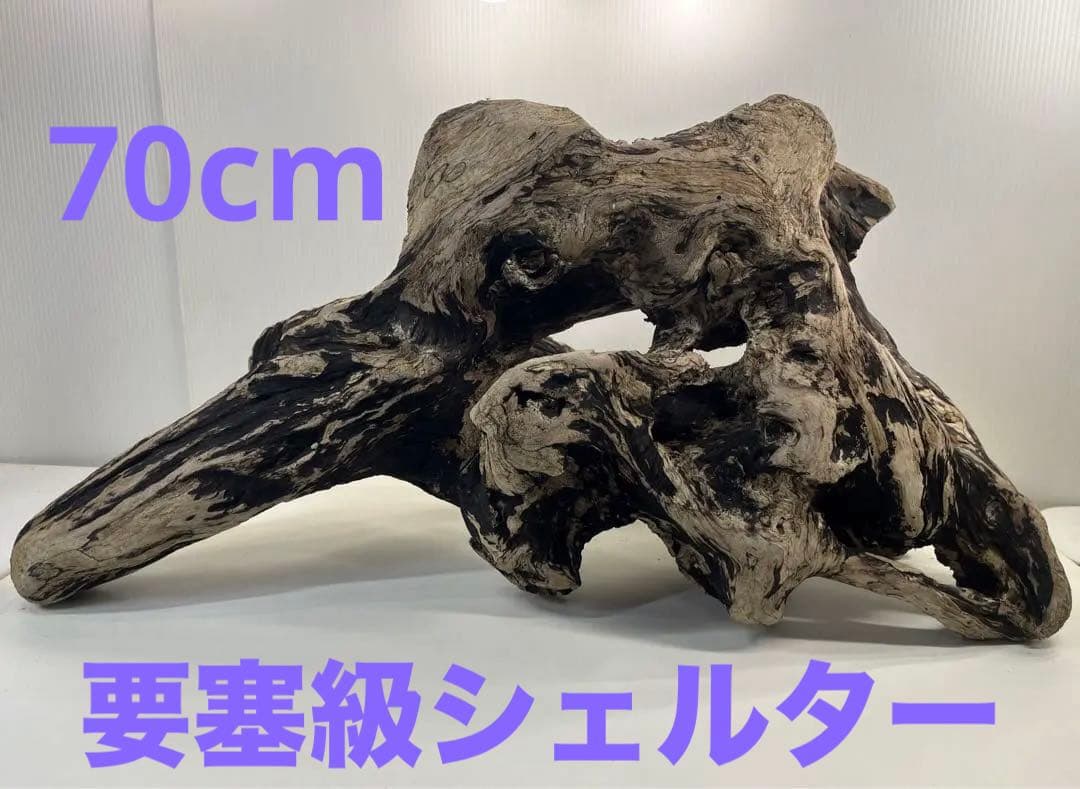 m46特大流木 大型流木 アク抜き済み 爬虫類シェルター レイアウト用 隠れ家