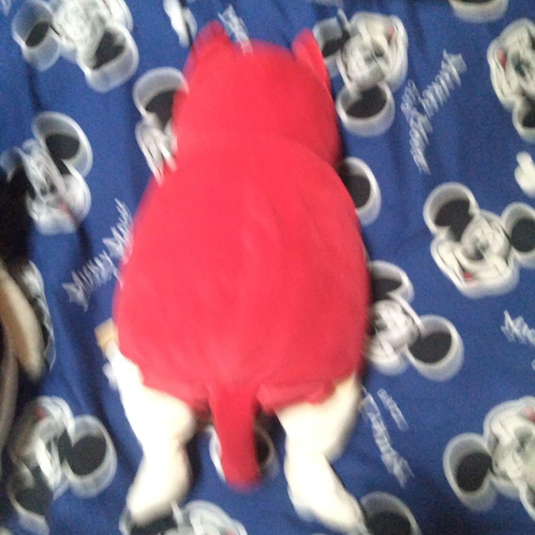 全部値下げしました高橋ヒロムぬいぐるみ ２匹セット