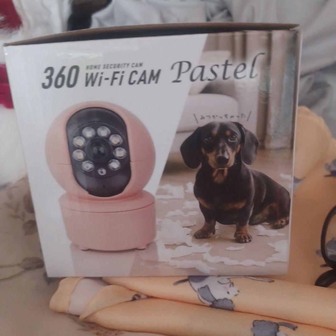 子犬セット　Wi-Fiペットカメラおまけ