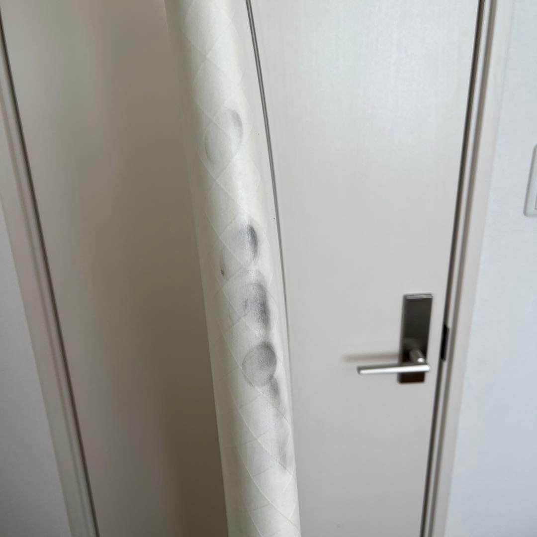 【送料込】【JS】RAGING BULL 6’0 HY-FI（EPS）