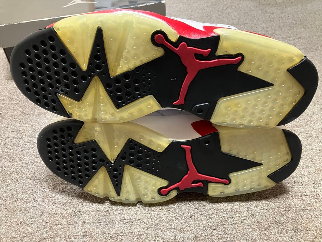 NIKE AIR JORDAN 6 29.5cm 桜木花道カラー