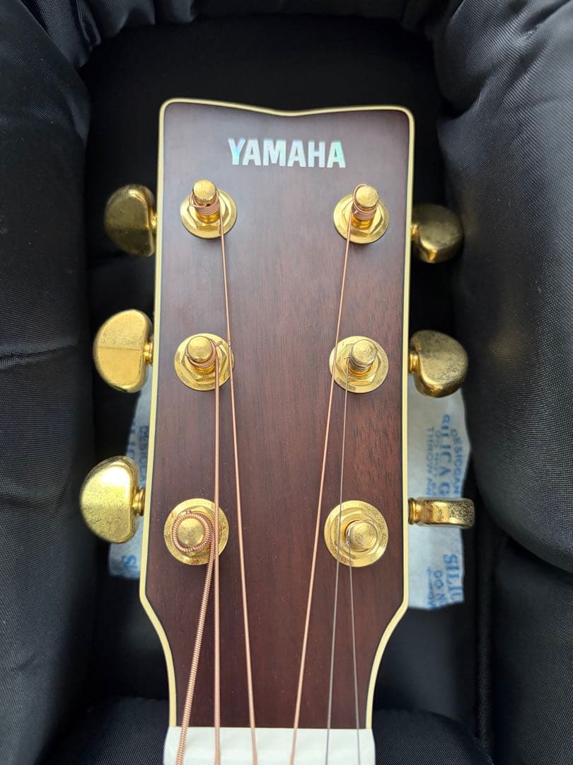 ヤマハアコースティックギター YAMAHA LS6 AREケース付き