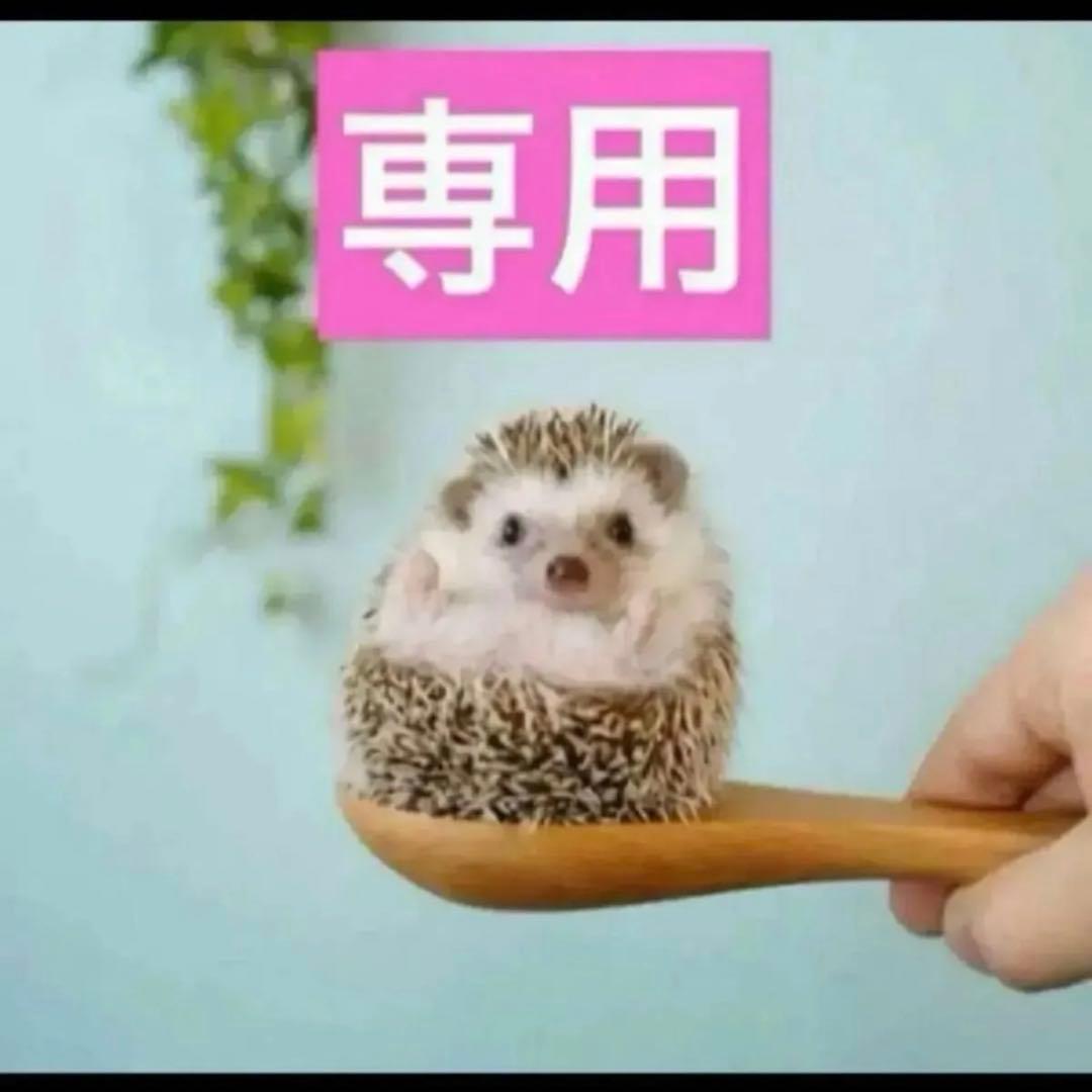 2点、イドラ00、BB00