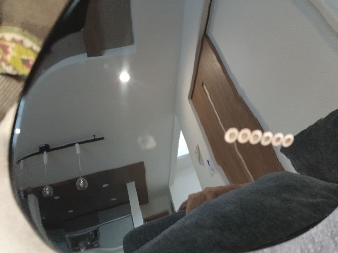 Bacchus Universal Series テレキャスタータイプ