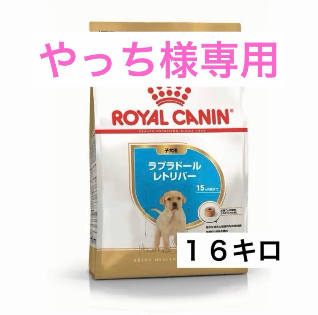 【専用】ロイヤルカナン ラブラドールレトリバー子犬用　１６キロ