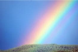 【予約品】レインボーペンダント　オーストラリアンブッシュ　フラワーエッセンス