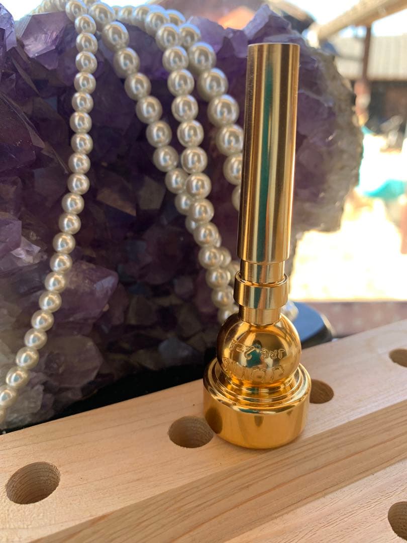 Nostalgia 2-1 金メッキ