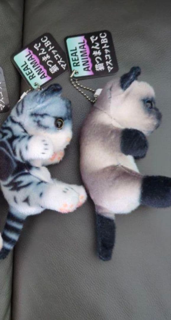 リアル猫 リアルアニマル猫つまんでマスコットBC 猫ぬいぐるみ　２個　セット