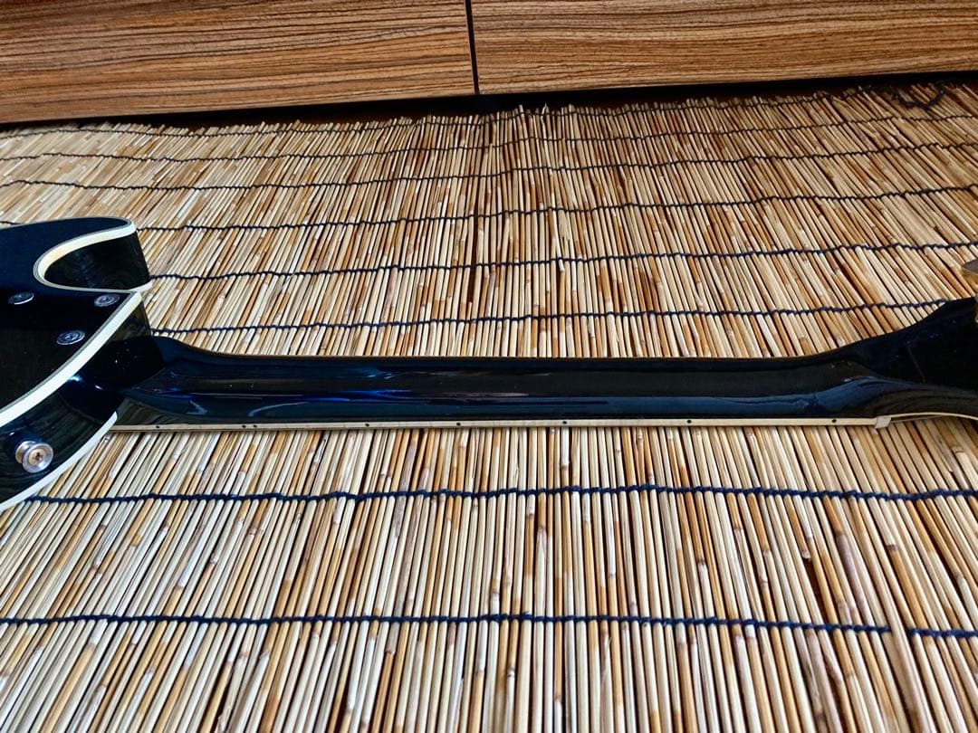 ☆ビンテージ+新機能　東海楽器の海外ブランドGESSION LP