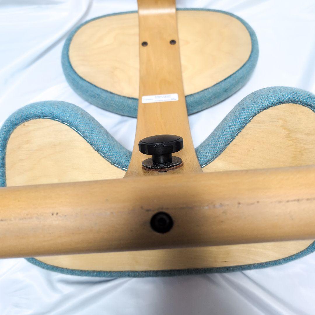 rybo バランスチェア　イージー　姿勢矯正クッションチェア