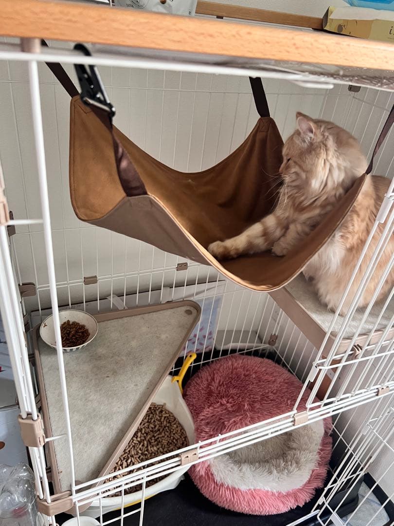 コジマのキャットケージ ハンモック付き　ウッドワンサークル