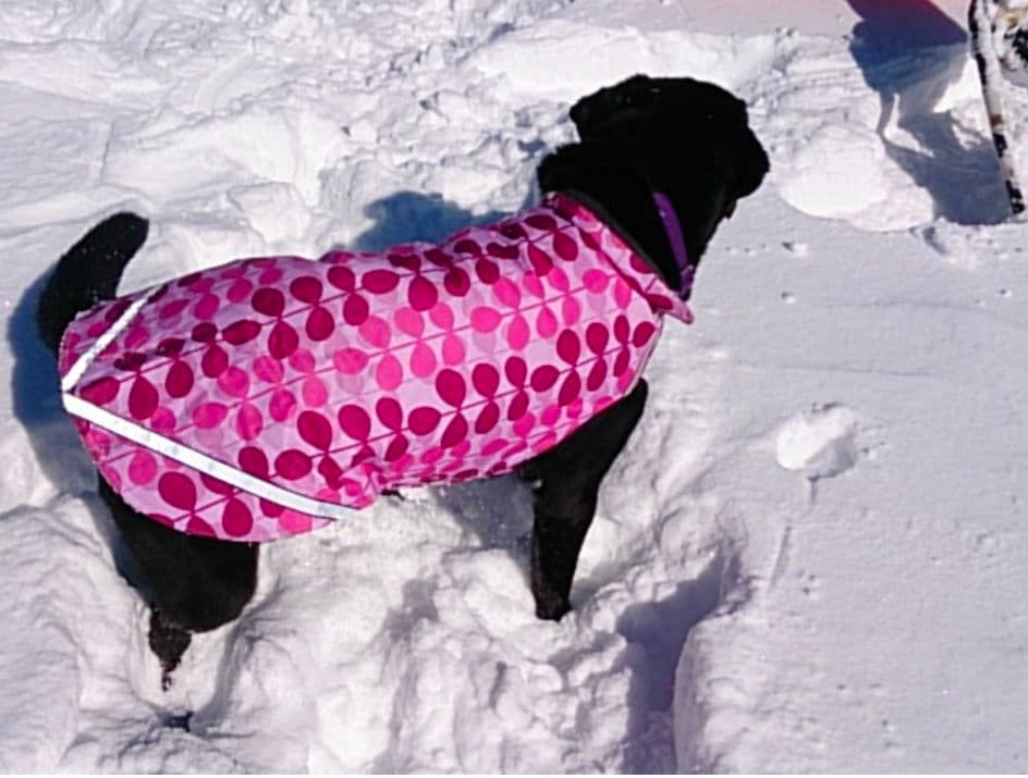 RC Pets 　犬用防水コート（裏フリース） ピンク葉っぱ模様 レアカラー