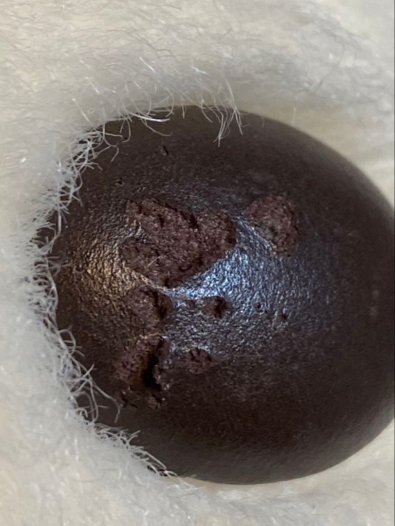 1983年 あやか オリエンタルトーイ ぬいぐるみ37cm 昭和レトロ 当時物