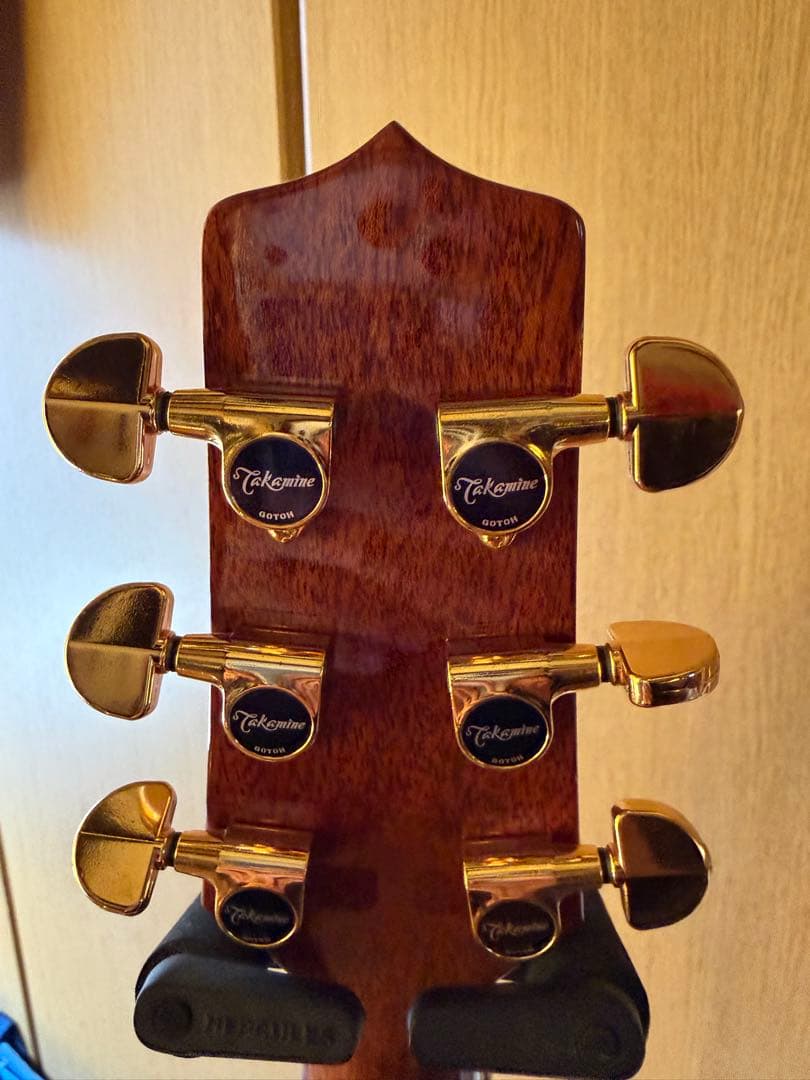 タカミネ TDP500RW TBS