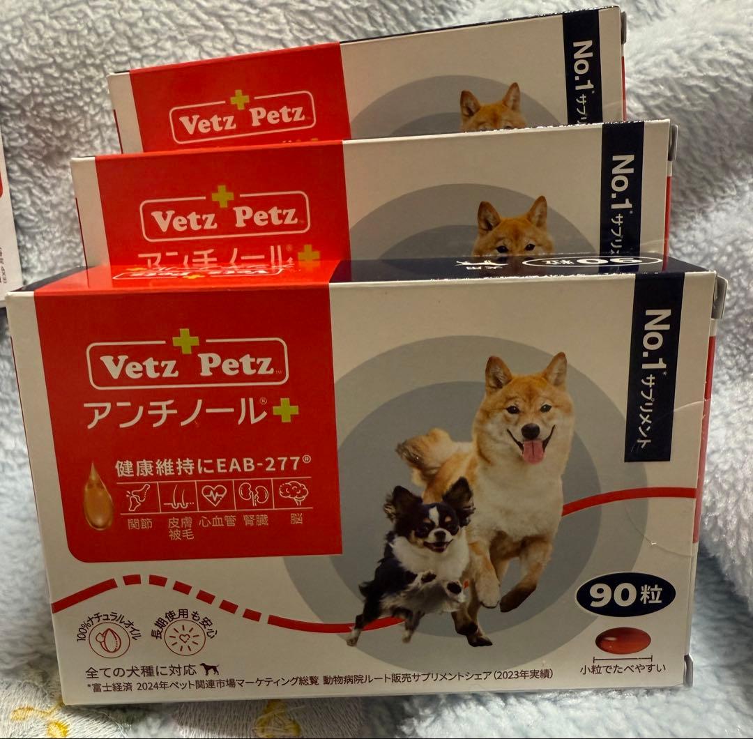 アンチノールプラス90粒×3