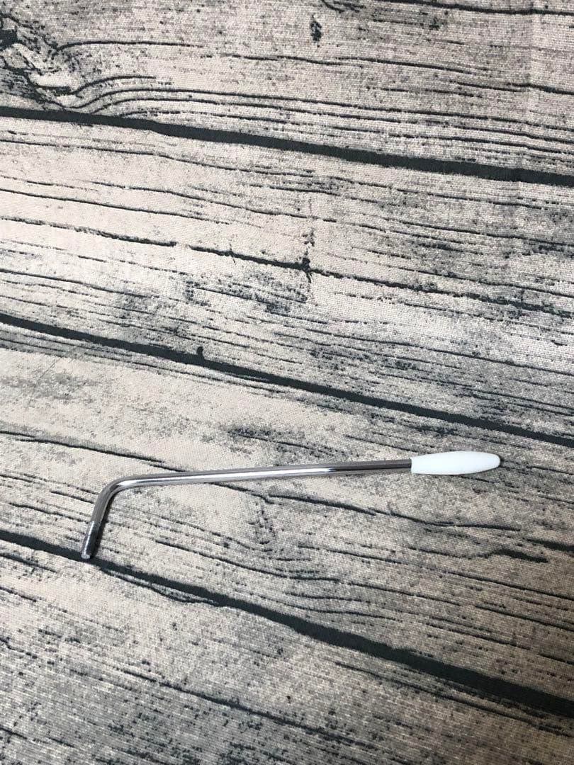 FgN エレキギター JST-5R 2013年製 ソフトケース付属