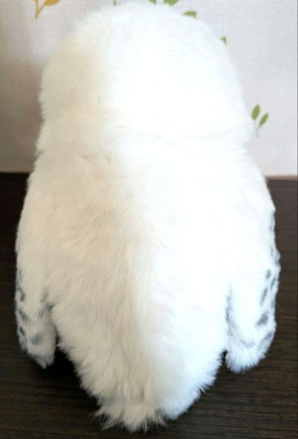 USJハリーポッターヘドウィグ肩乗せ