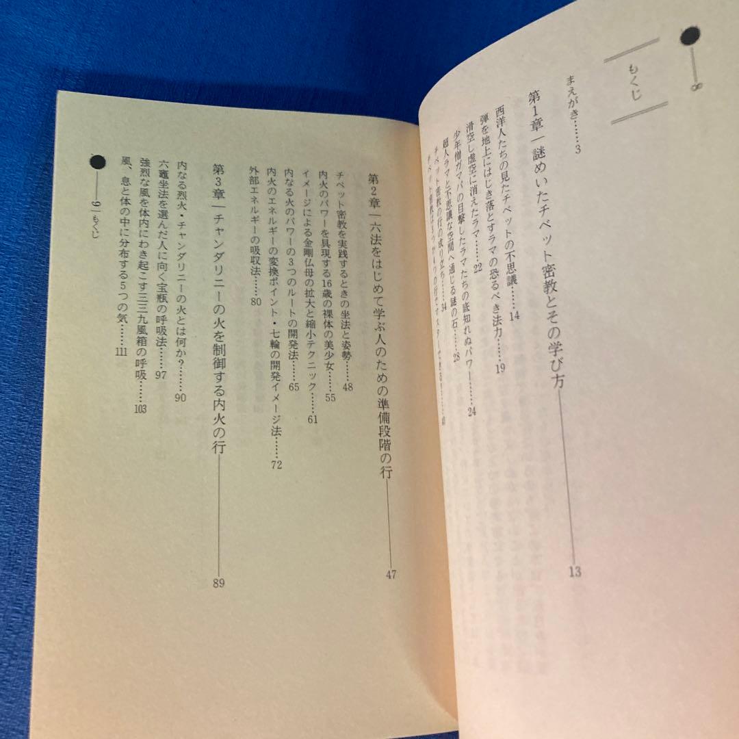 【レア本セット！】神秘！チベット密教入門　秘伝チベット密教奥義　高藤聡一郎