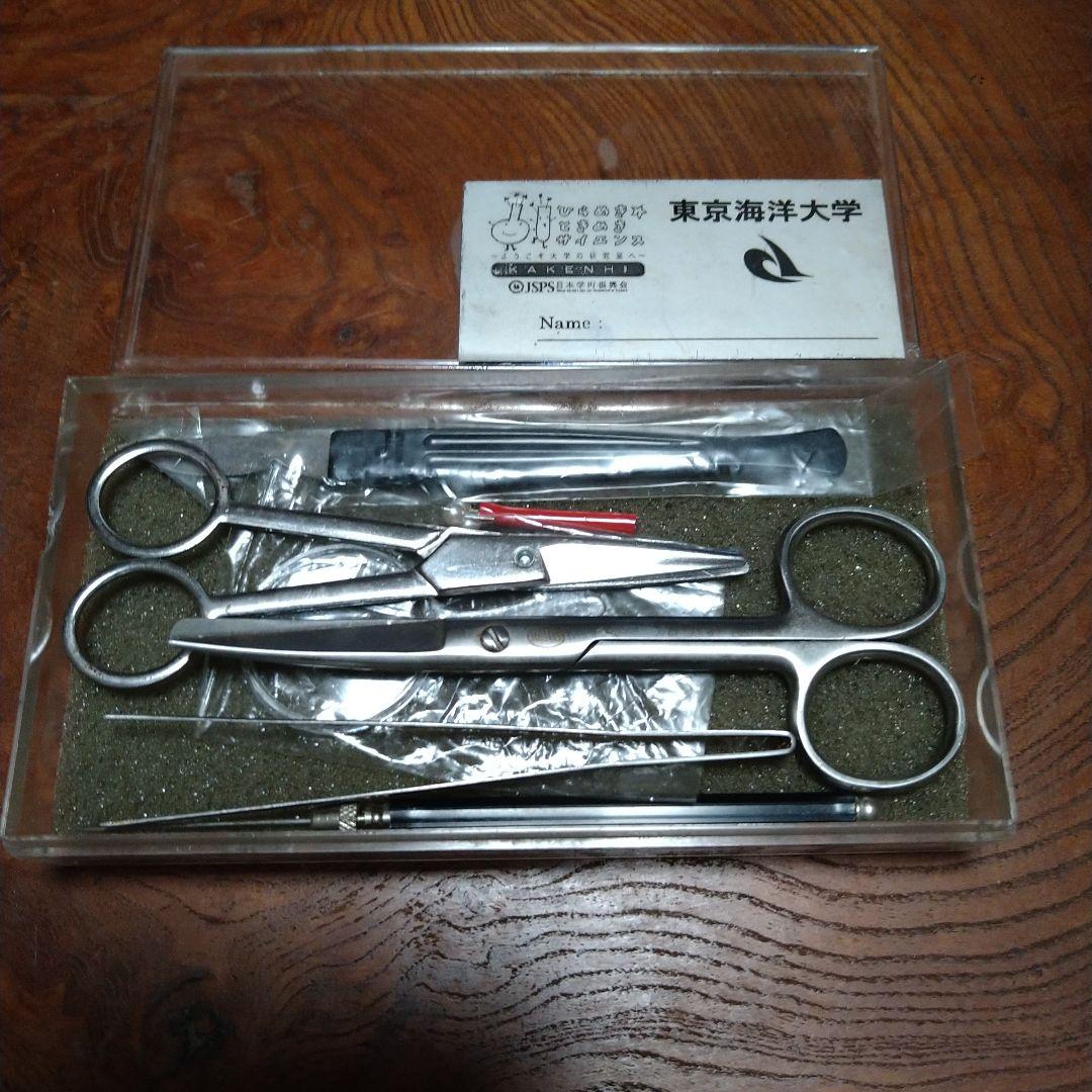東京海洋大学　解剖セット