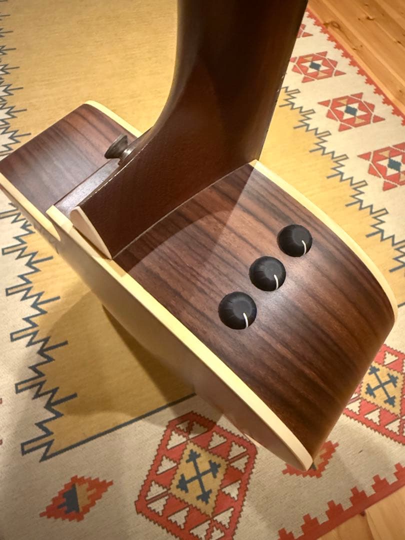 Taylor 210ce テイラー アコースティックギター