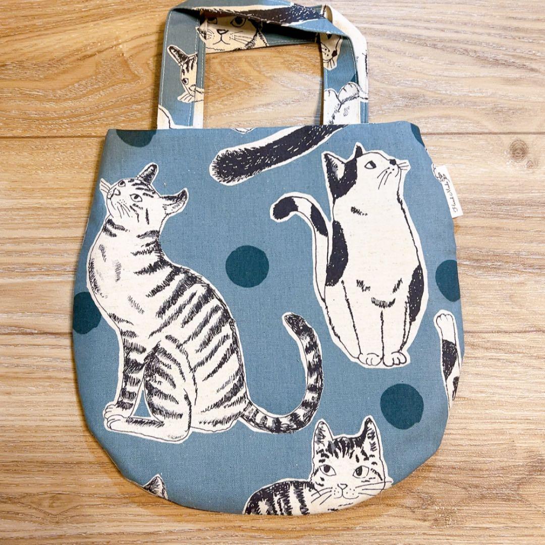 キラキラ⭐️　　花＆猫