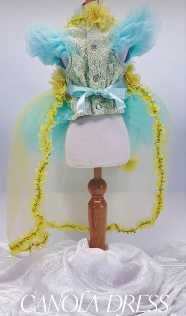 リュクスバーディー♡キャノラドレスSSサイズ完売サイズケース付き