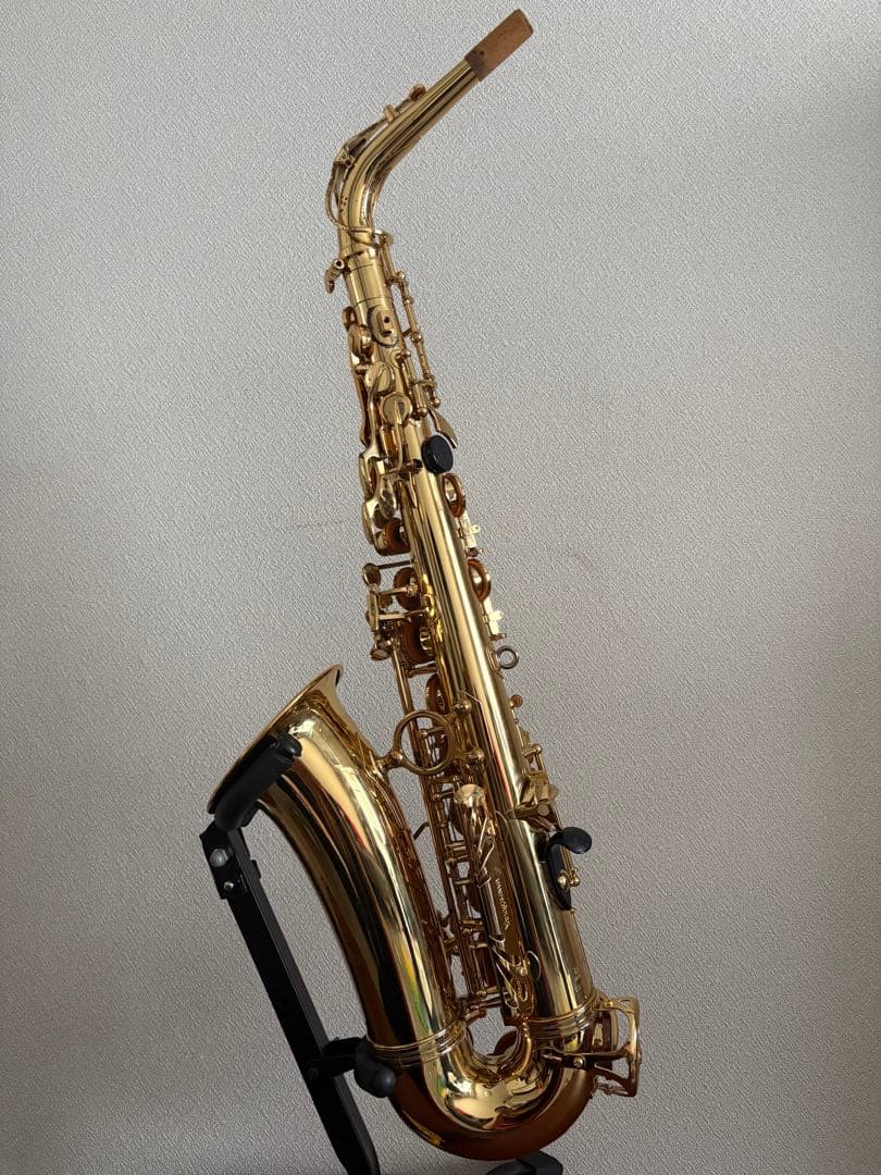 ヤナギサワ アルトサックス A-900