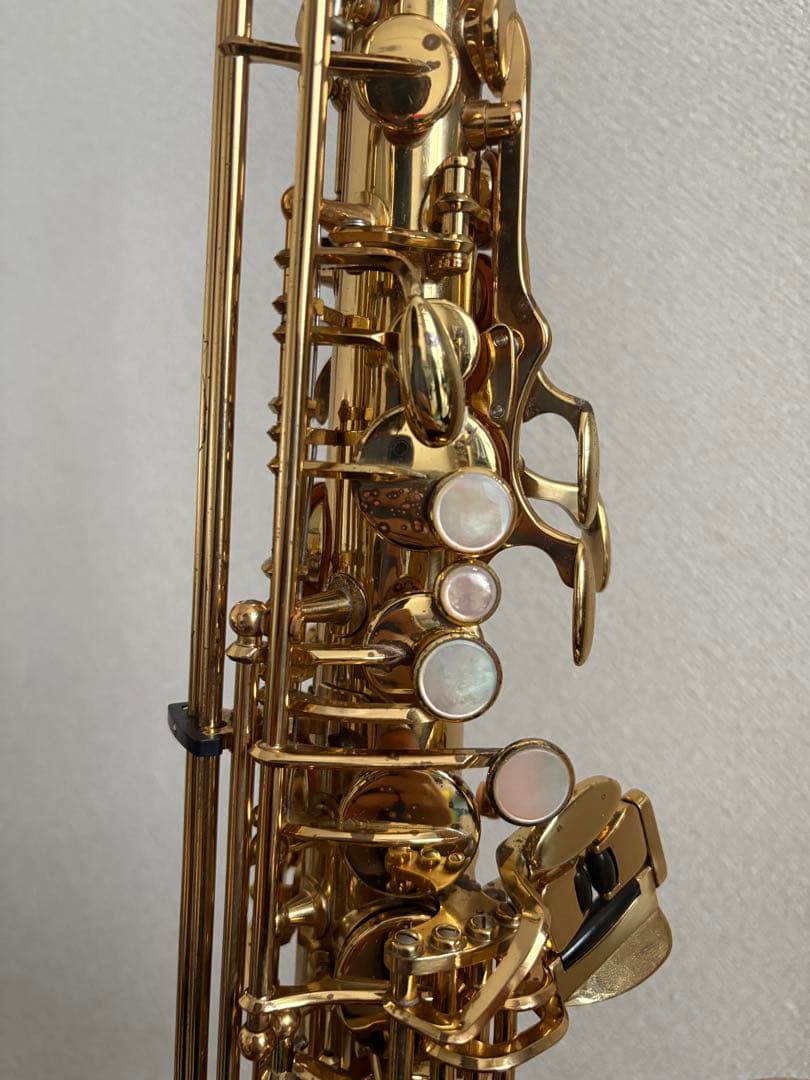 ヤナギサワ アルトサックス A-900