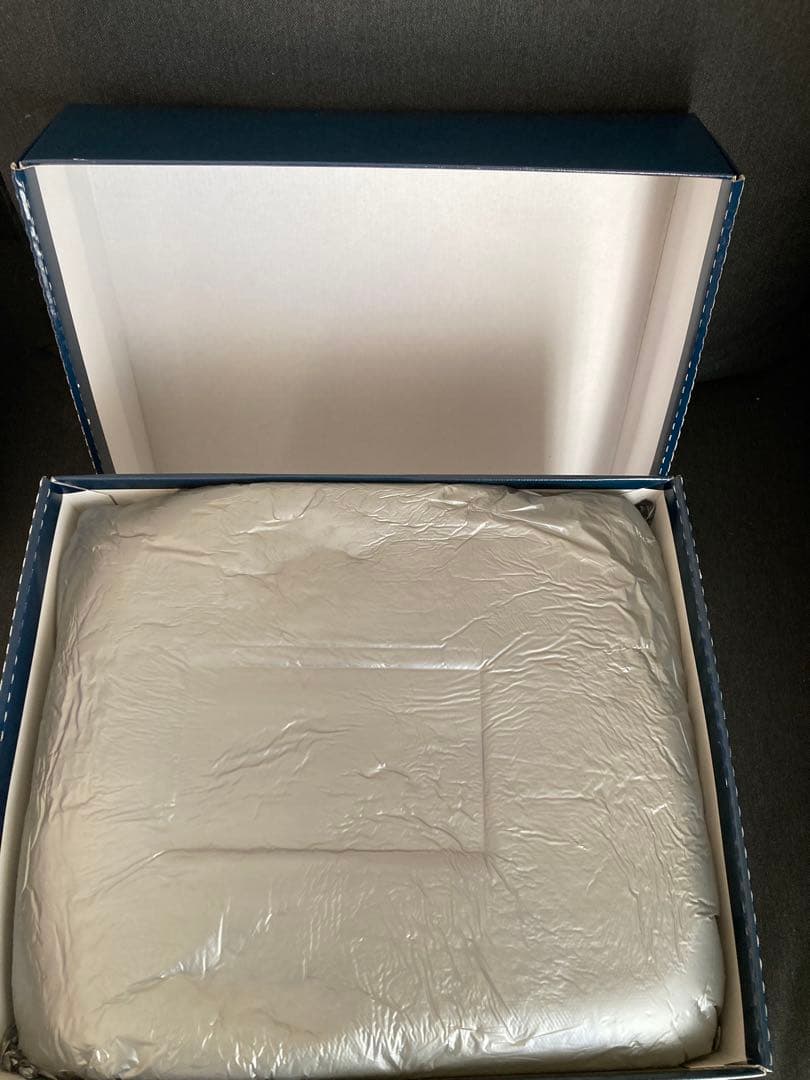 ランプベルジェ　バカラ　クリスタルランプ　パピヨン　未使用　Baccarat