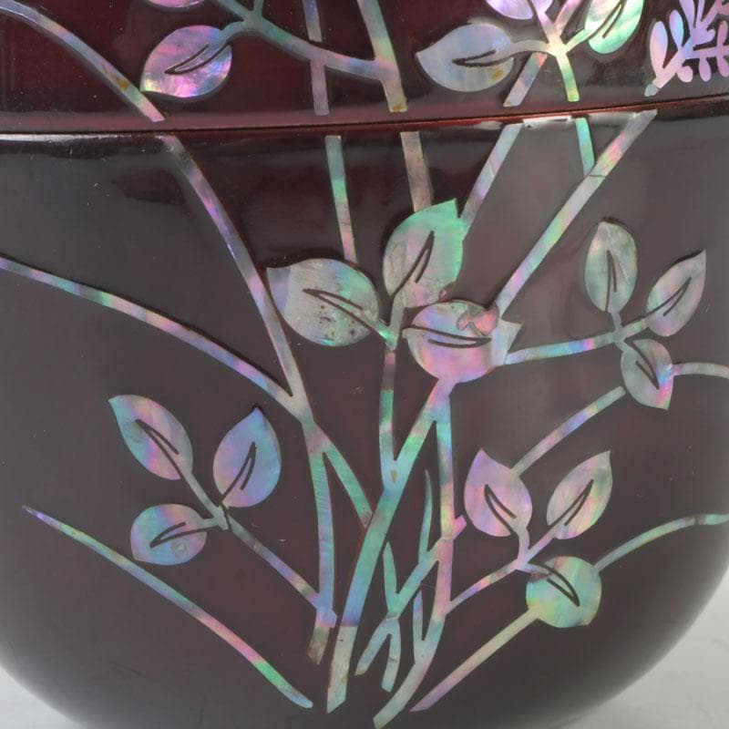 茶道具　螺鈿装飾　草蒔絵　棗　時代箱　V　9673