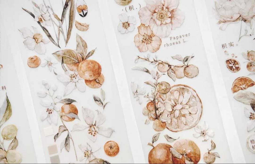 ⭐️SALE⭐️ 雀斑茶《橘枳》海外マスキングテープ　マステ 【1336】