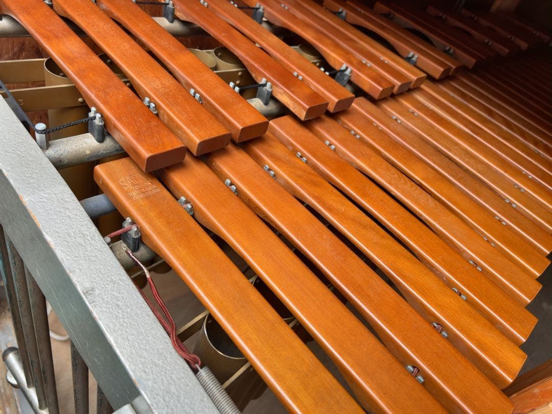 斉藤　マリンバ