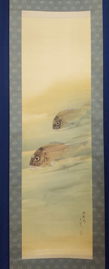 鯛図【洋中赤鬃魚】今井景樹 2600 海中の鯛 共箱　掛け軸　肉筆
