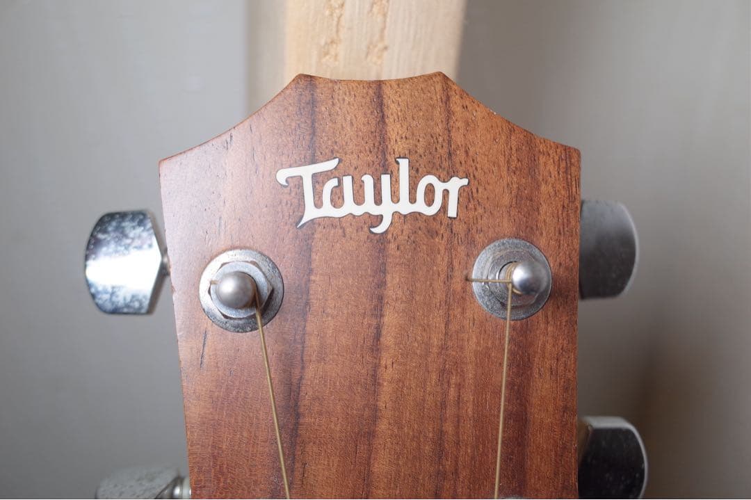 Taylor 114e アコースティックギター ギターケース付き 保証書あり