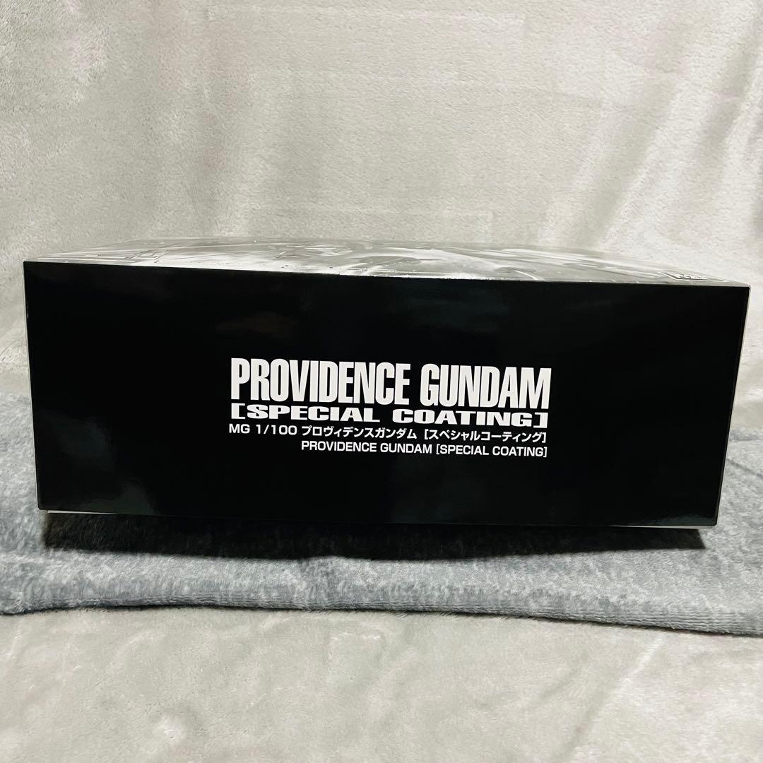 【新品未開封】1/100 MG ZGMF-X13A プロヴィデンスガンダム