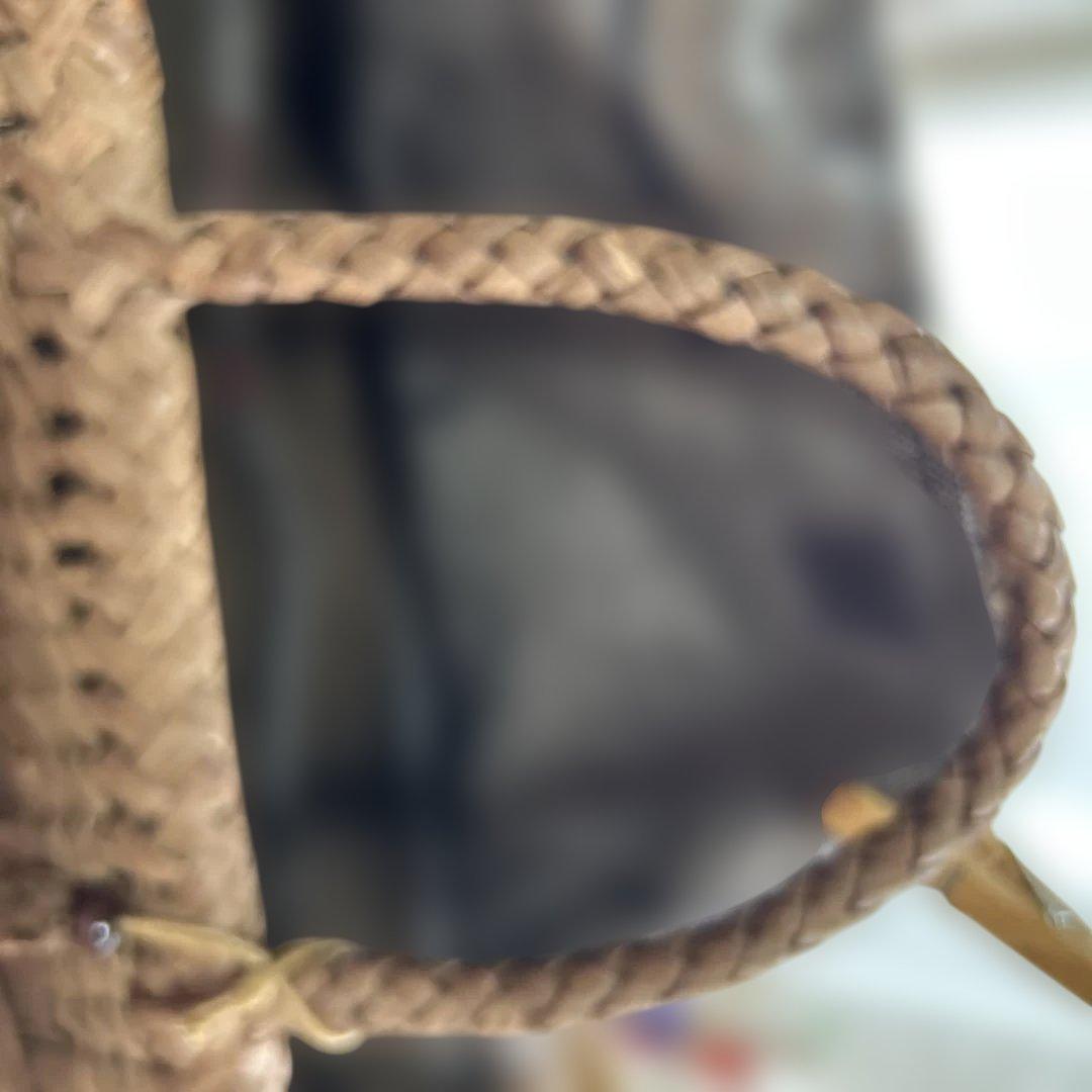 山葡萄バック　　11月6日で削除します