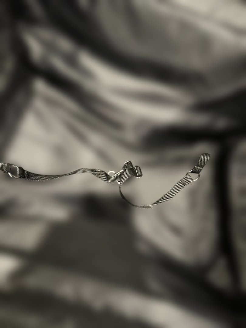 エアバギー　ゴーウォーカー　ブラックGowalker　美品　おまけ付き♪