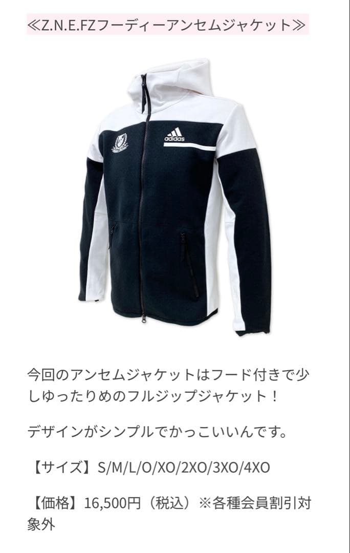 横浜Fマリノス　Z.N.E フーディー　アンセムジャケット　希少品