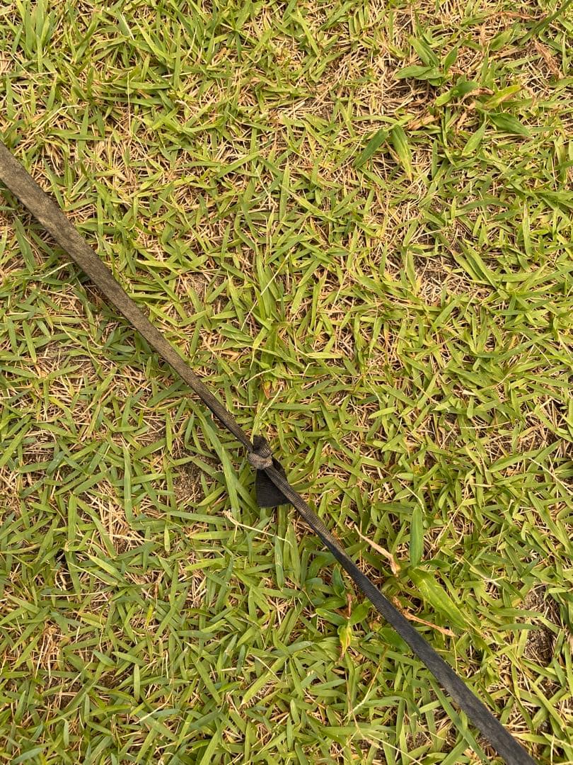 nordisk レイサ6 週末セール