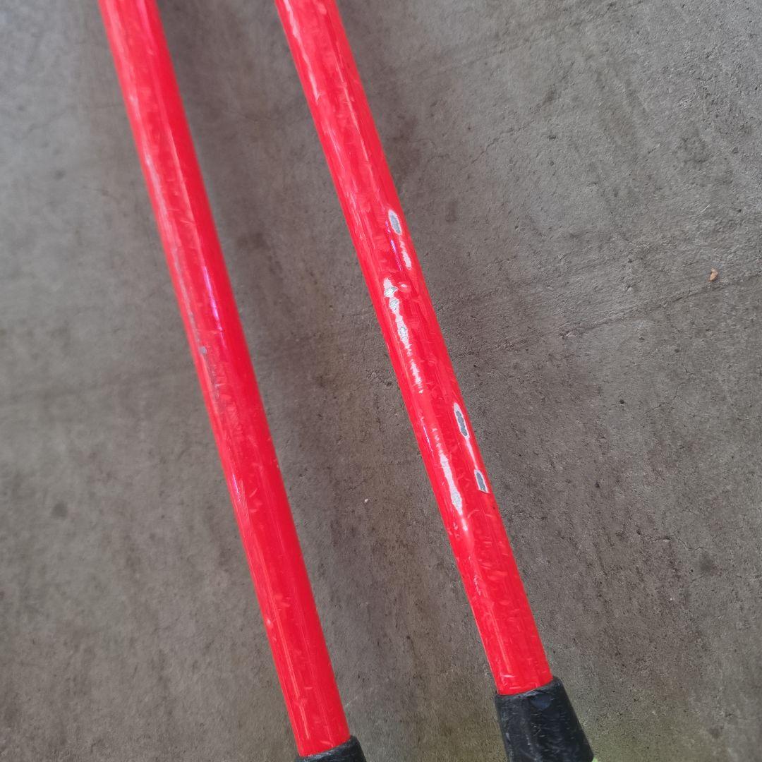 LEKI スキー ストック GS 115fm