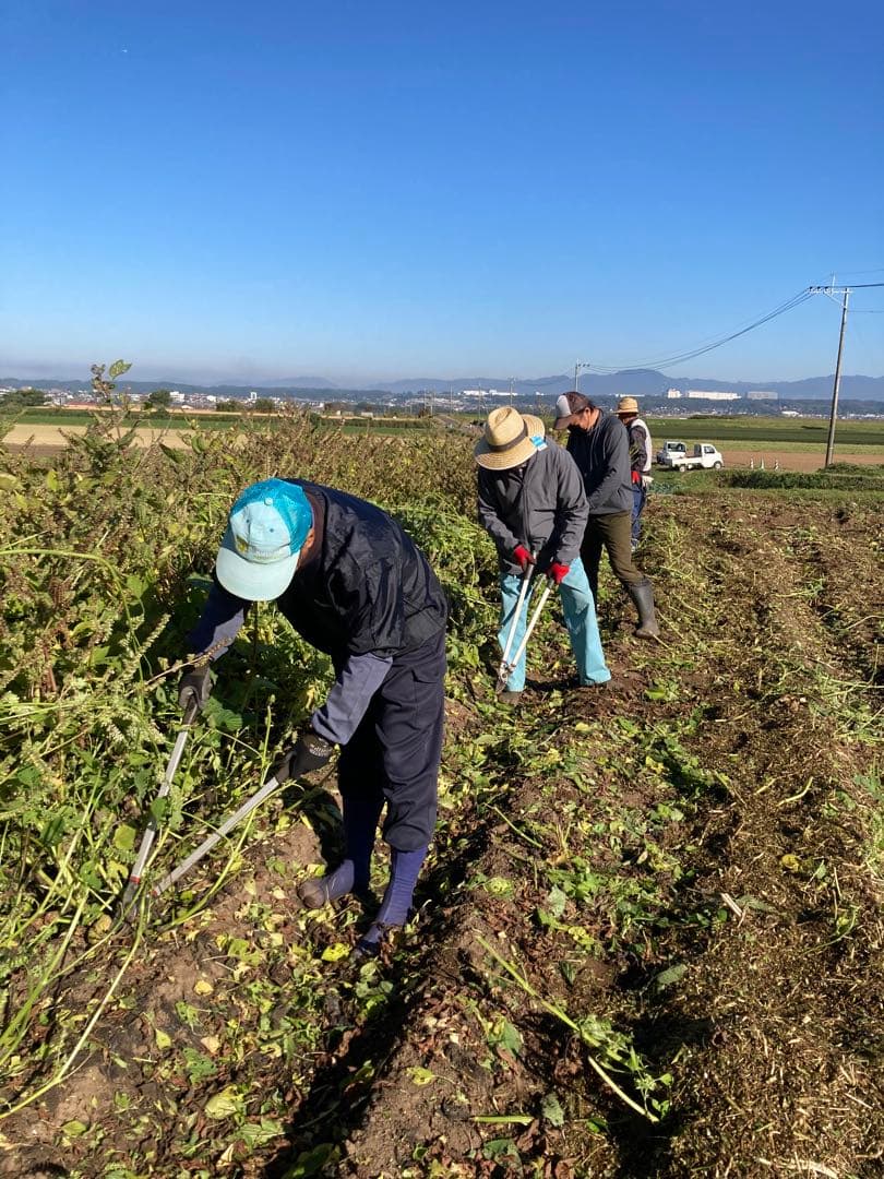 菊池のえごま油