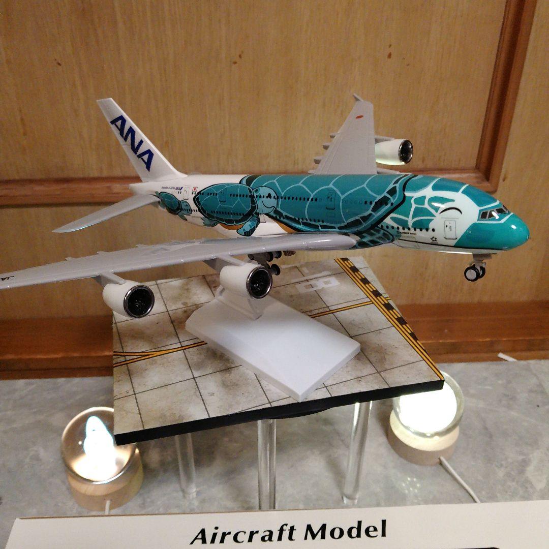 新型フライングホヌ／グリーン カイ君 約30cm