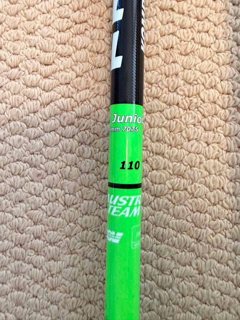 コンパーデル スキーストック パンチガード付 110