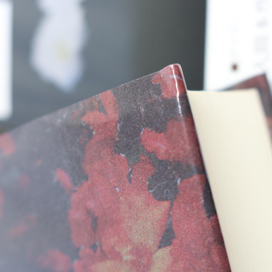 人間本性論1～３、人間知性研究　ヒューム