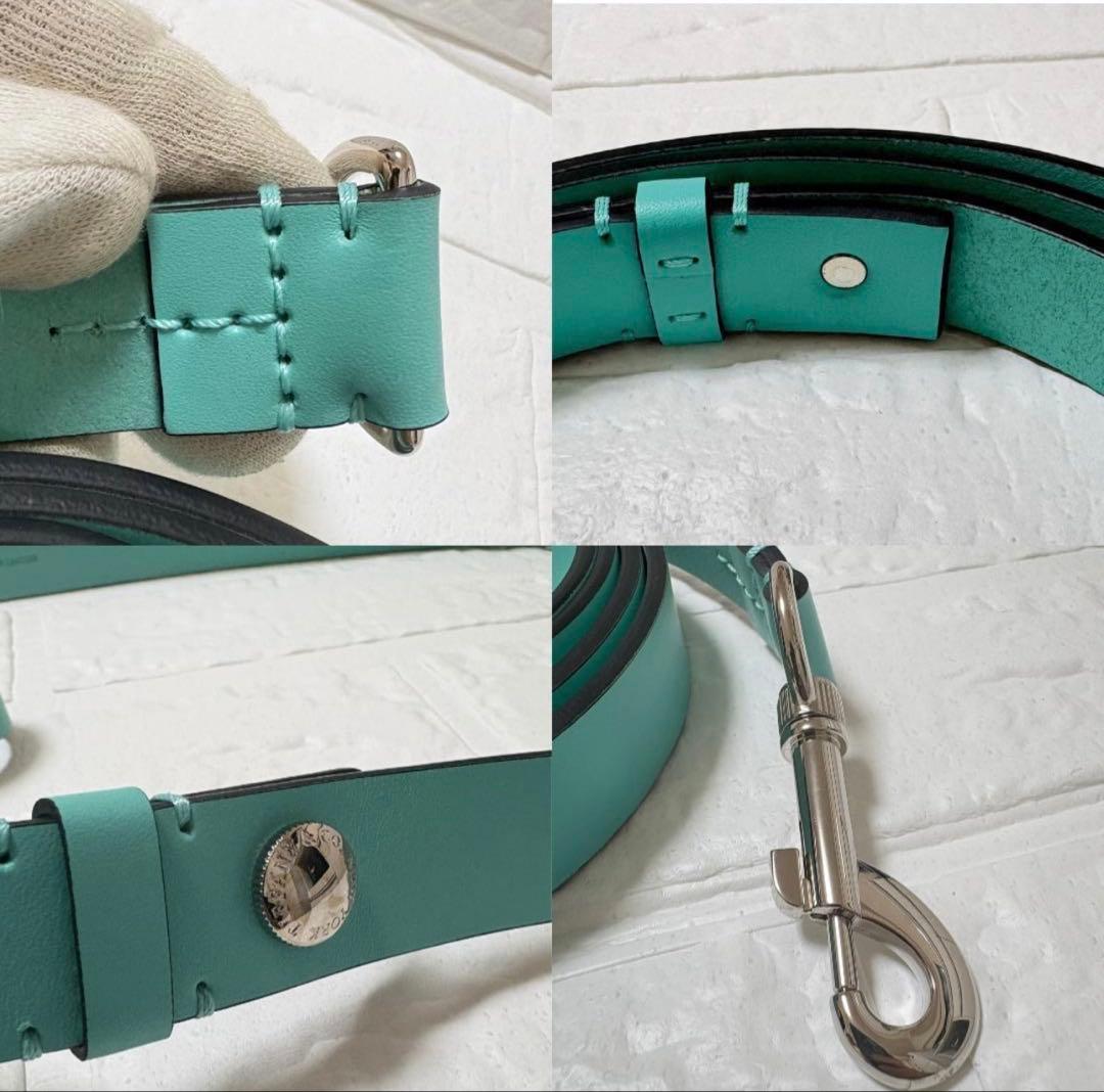 美品・特価✨ティファニー ブルー×シルバー レザー リード ペット リシュー