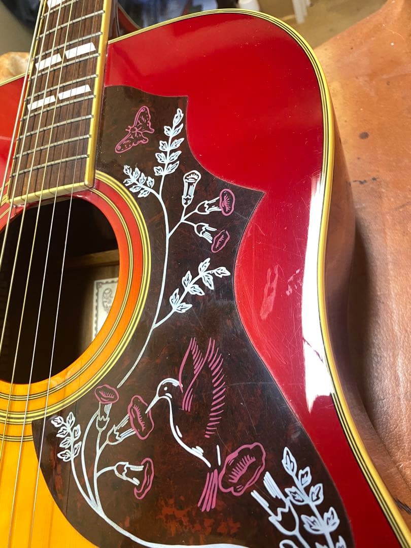 専用‼️磨き上げSepia Crue アコギ H-220 ハミングバード