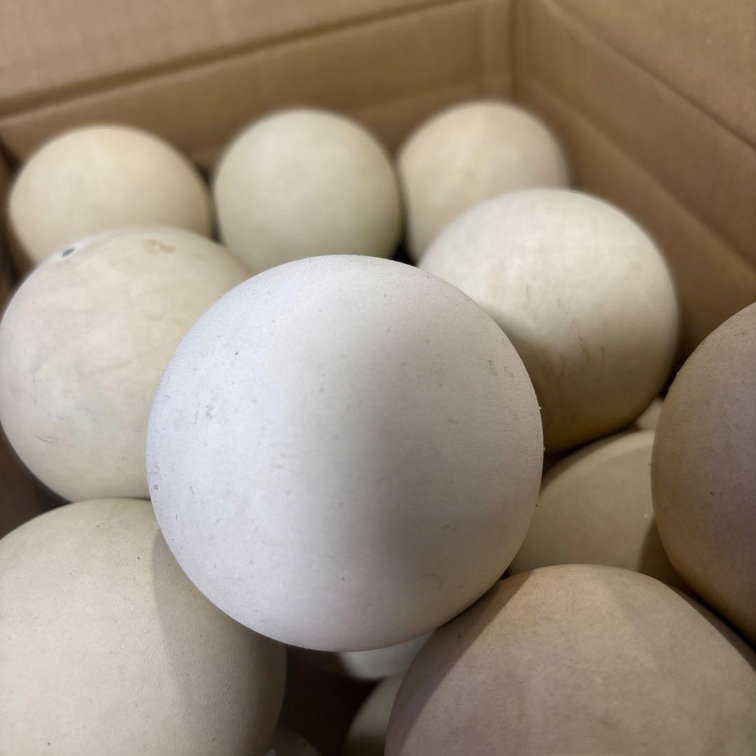 ホワイト テニスボール 56個