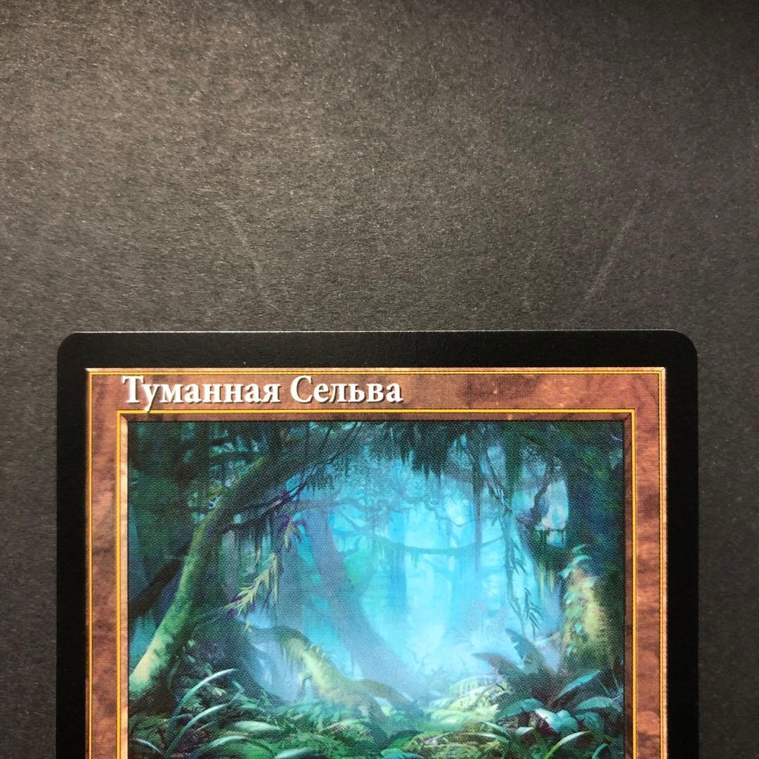 ロシア語　霧深い雨林　旧枠　モダンホライゾン2 MTG
