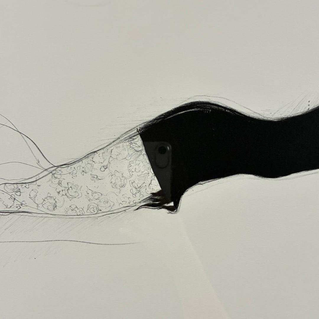 美品 天野喜孝「予感」リトグラフ 直筆サイン入 限定品 お洒落な額装 FF