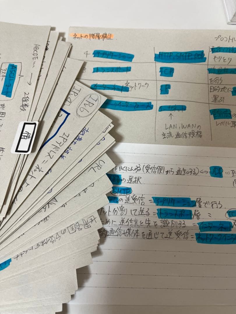 共テ対策 公共政経、情報、生物基礎 手書き暗記カード360枚